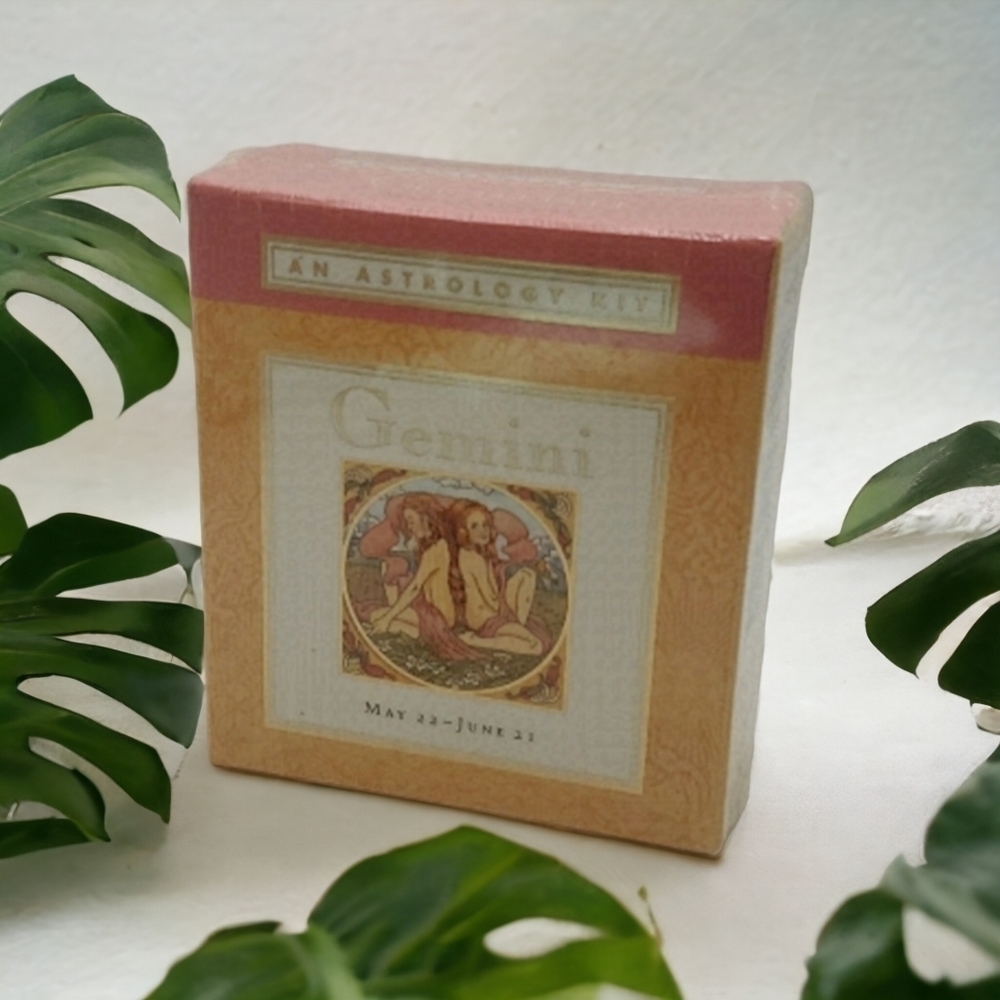 NWT Astrology Kit Gemini
